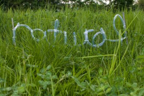 Natural Project-9496