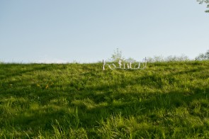 Natural Project-9528